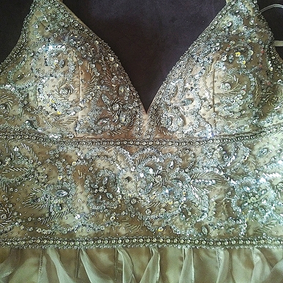 Shail K Dresses & Skirts - Stunning Taupe Gown